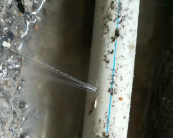 西双版卫生间测漏水多少钱